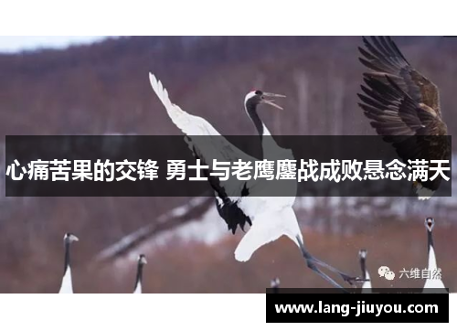 心痛苦果的交锋 勇士与老鹰鏖战成败悬念满天 心痛苦果的交锋 勇士与老鹰鏖战成败悬念满天