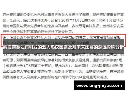 魏震禁赛处罚引发的五大热议因素及对未来比赛的深远影响分析